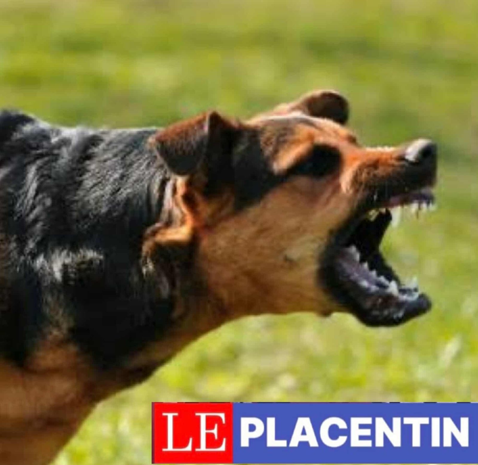 ad